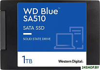 Blue SA510 1TB WDS100T3B0A