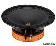 Картинка Среднечастотная АС DL Audio Raven 200