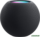 HomePod Mini (серый космос)