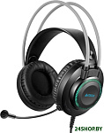 Fstyler FH200U (черный/серый)