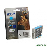 Картинка Картридж EPSON C13T13024010