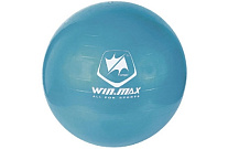 Картинка Мяч WIN.MAX WMF09945D (синий)