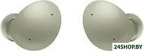 Картинка Наушники SAMSUNG Galaxy Buds 2 (SM-R177NZGACIS) (оливковый)