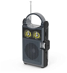Картинка Радиоприемник Ritmix RPR-333 (черный)