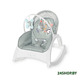 Картинка Детский шезлонг Lorelli Enjoy Green Birthday (10110112136)