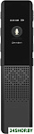 DiVoice RV70