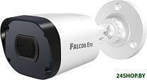 Картинка IP-камера Falcon Eye FE-IPC-BV2-50pa