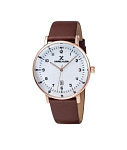 Картинка Наручные часы Daniel Klein DK12009-6