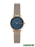 Картинка Наручные часы Skagen SKW2837