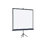 Картинка Проекционный экран Lumien Eco View 153x203 LEV-100111