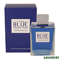 Туалетная вода Antonio Banderas Blue Seduction for men (100 мл)