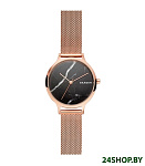 Картинка Наручные часы Skagen SKW2721