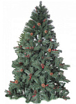 MERRY BEAR Каролина 1