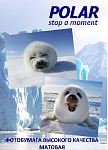 Картинка Фотобумага Polar для сублимации A4, 100 г/м2, 100 л [A4S7728]