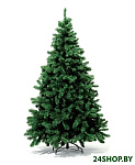 Картинка Ель Royal Christmas Dakota Reduced 1,8 м