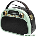 Радиоприемник Ritmix RPR-040 (мятный)