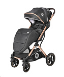 Картинка Детская коляска Lorelli Storm Luxe Black 2021 (10021692186)
