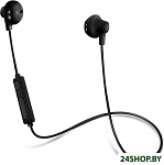 Картинка Наушники с микрофоном ACME BH102
