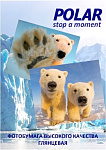 Картинка Фотобумага Polar глянцевая A5, 230 г/м2, 20 л [A5G776520]