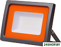 Уличный прожектор JAZZway PFL-SC 50W