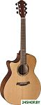 AR21C/ACE-L