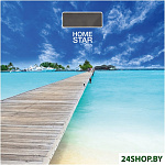 Картинка Весы напольные HOMESTAR HS-6001R