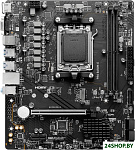 Pro B650M-E