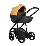 Картинка Коляска Riko Basic Aicon (2 в 1, 06)