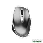 Картинка Мышь Canyon MW-21 (графит)