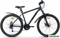 Quest Disc 26 р.20 2026 (синий)