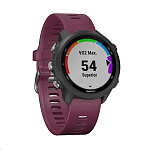 Картинка Умные часы Garmin Forerunner 245 (вишневый)