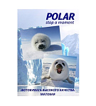 Картинка Самоклеящаяся бумага Polar A4K24025 универсальная, 24 деления, A4, 100 г/м2, 25 л