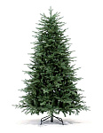 Картинка Ель Royal Christmas Auckland Premium 2,4 м