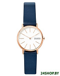Картинка Наручные часы Skagen SKW2838
