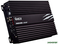 RX 2.200 ver2