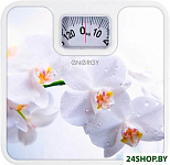 Картинка Весы Energy ENM-409E