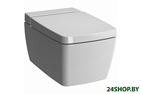 Картинка Унитаз Vitra Metropole 56 см (7672B003-1086)