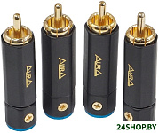 RCA-P613