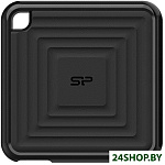 PC60 512GB SP512GBPSDPC60CK