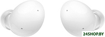 Картинка Наушники SAMSUNG Galaxy Buds 2 (SM-R177NZWACIS) (белый)