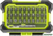 RAK31MSD (31 предмет)