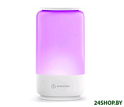 Картинка Умный настольный WiFi светильник Evolution SL-01