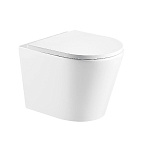 Картинка Унитаз WeltWasser Salzbach 004 MT-WT (белый матовый)