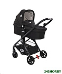 Картинка Универсальная коляска Lorelli (Bertoni) Patrizia (2 в 1, black)