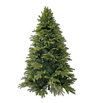 Картинка Ель Royal Christmas Nordland 1.5 м