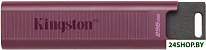 DataTraveler Max Type-A 256GB