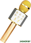 Картинка Микрофон Wster WS-858 (золотистый)