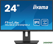 ProLite XUB2493QSU-B5