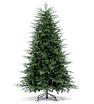Картинка Ель Royal Christmas Auckland Premium 1,8 м
