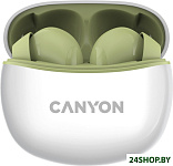 Картинка Наушники Canyon CNS-TWS5GR